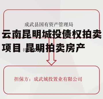 云南昆明城投债权拍卖项目 昆明拍卖房产