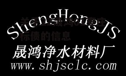 关于22晟鸿01枣庄标债的信息