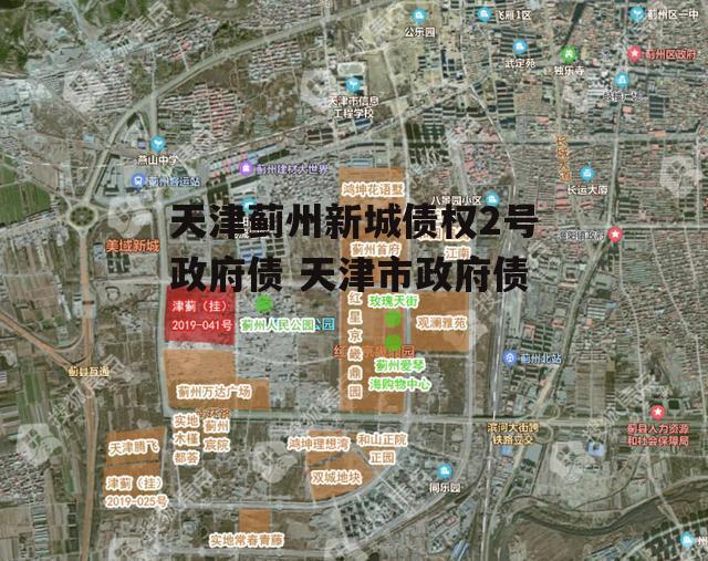 天津蓟州新城债权2号政府债 天津市政府债