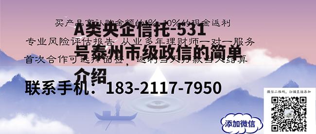 A类央企信托-531号泰州市级政信的简单介绍