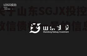 关于山东SGJX投控政信债权一号的信息