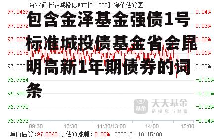 包含金泽基金强债1号标准城投债基金省会昆明高新1年期债券的词条