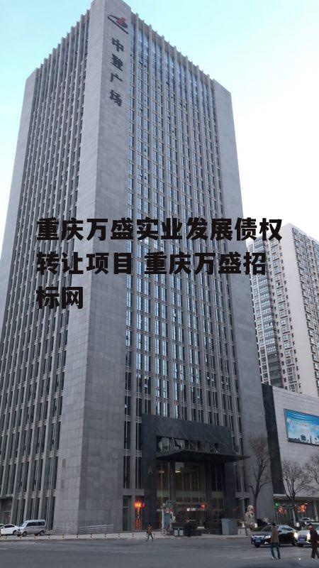 重庆万盛实业发展债权转让项目 重庆万盛招标网