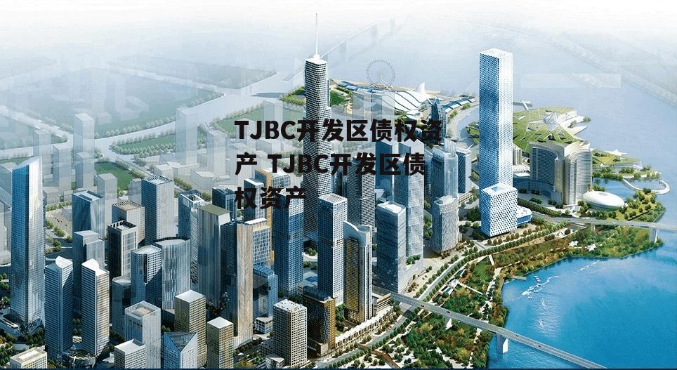 TJBC开发区债权资产 TJBC开发区债权资产