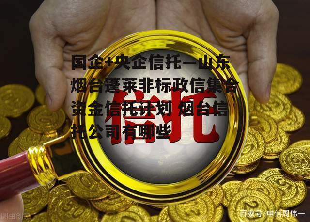 国企+央企信托—山东烟台蓬莱非标政信集合资金信托计划 烟台信托公司有哪些