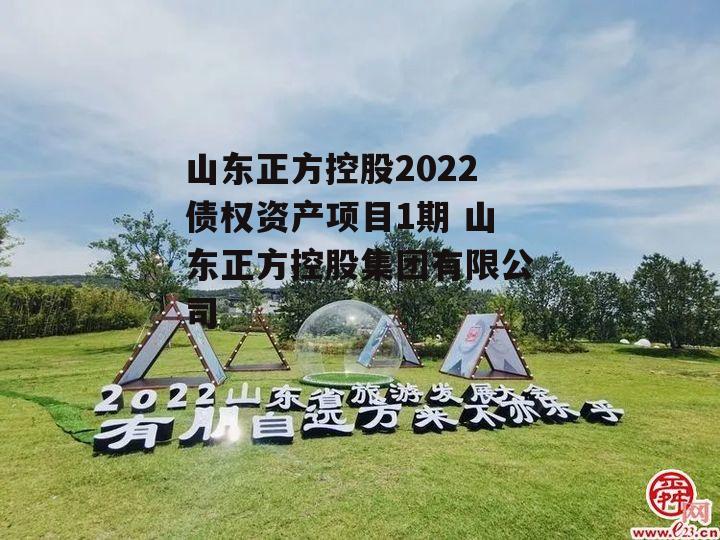 山东正方控股2022债权资产项目1期 山东正方控股集团有限公司