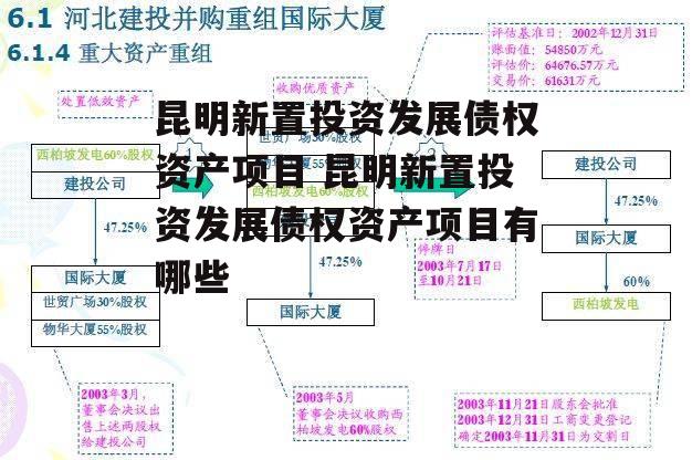 昆明新置投资发展债权资产项目 昆明新置投资发展债权资产项目有哪些