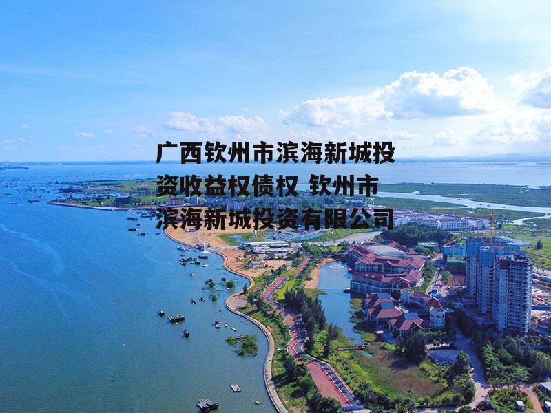 广西钦州市滨海新城投资收益权债权 钦州市滨海新城投资有限公司