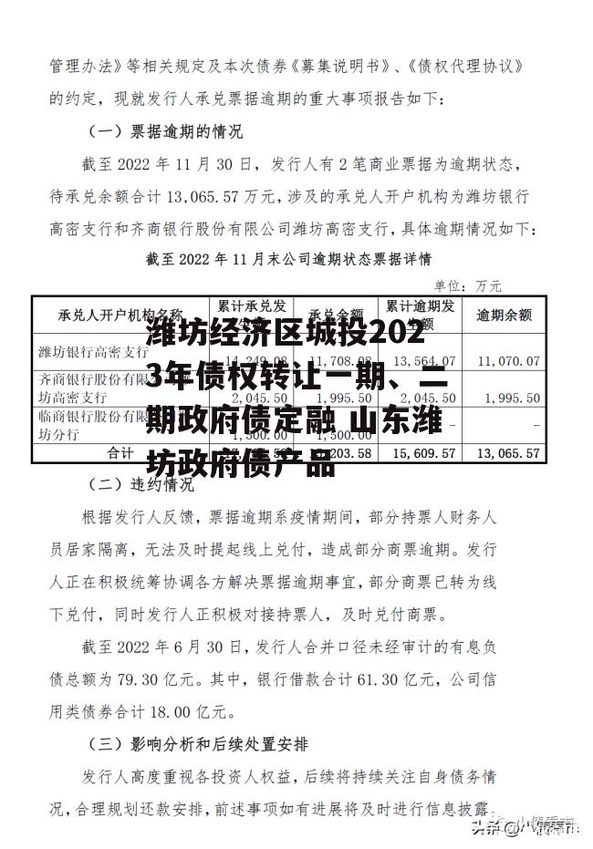 潍坊经济区城投2023年债权转让一期、二期政府债定融 山东潍坊政府债产品