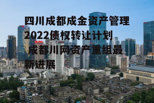 四川成都成金资产管理2022债权转让计划 成都川网资产重组最新进展