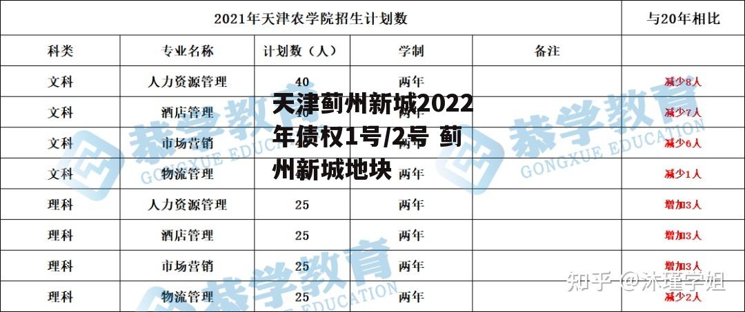 天津蓟州新城2022年债权1号/2号 蓟州新城地块