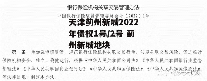 天津蓟州新城2022年债权1号/2号 蓟州新城地块