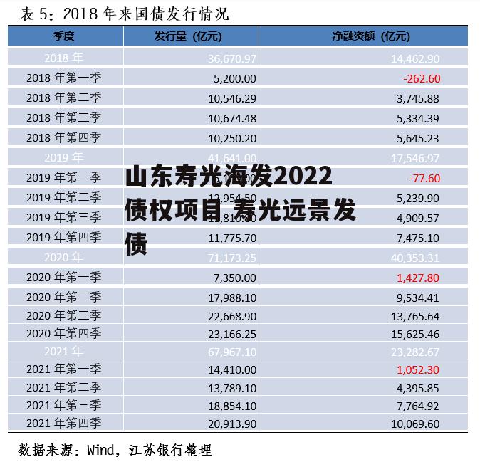 山东寿光海发2022债权项目 寿光远景发债