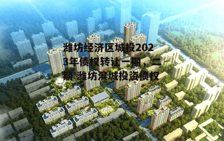 潍坊经济区城投2023年债权转让一期，二期 潍坊滨城投资债权