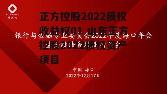 正方控股2022债权收益权01 山东正方控股2022债权资产项目