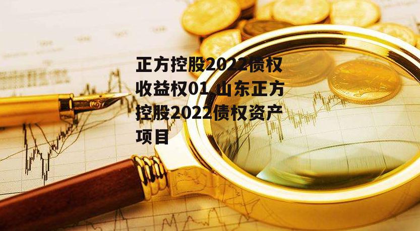 正方控股2022债权收益权01 山东正方控股2022债权资产项目