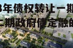 关于潍坊经济区城投2023年债权转让一期、二期政府债定融的信息