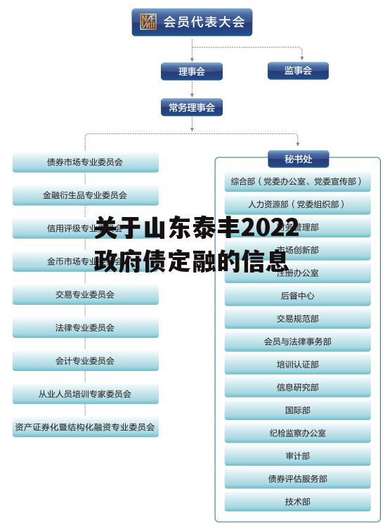 关于山东泰丰2022政府债定融的信息