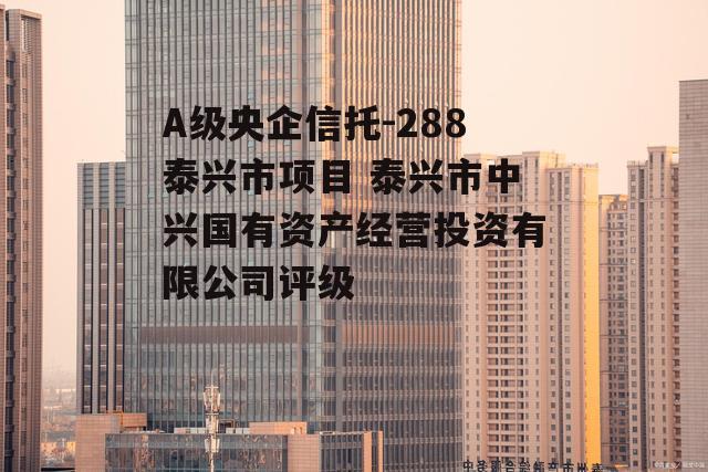 A级央企信托-288泰兴市项目 泰兴市中兴国有资产经营投资有限公司评级