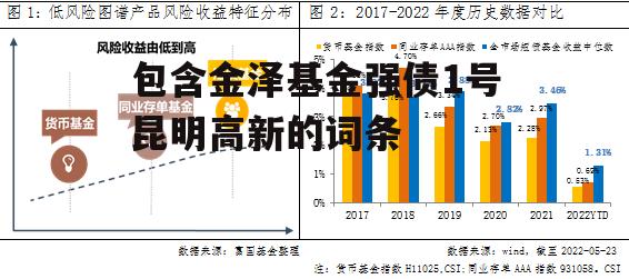 包含金泽基金强债1号昆明高新的词条