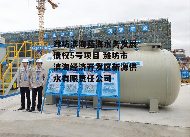 潍坊滨海蓝海水务发展债权5号项目 潍坊市滨海经济开发区新源供水有限责任公司