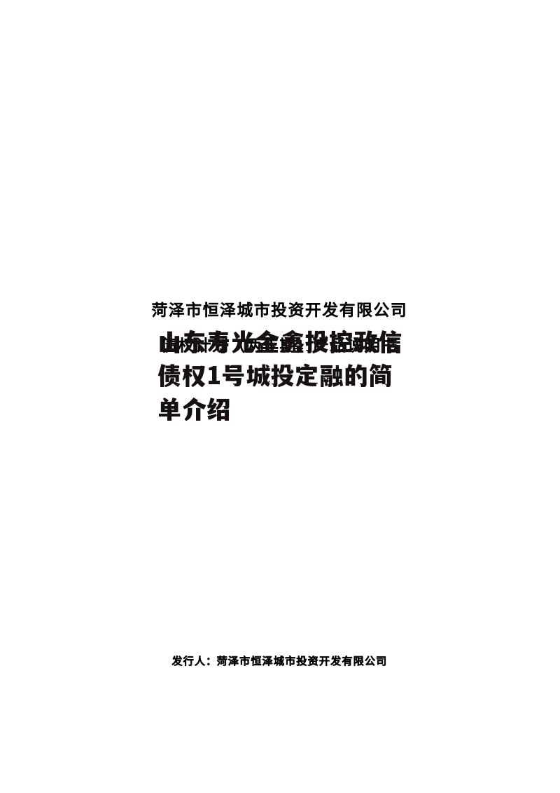 山东寿光金鑫投控政信债权1号城投定融的简单介绍