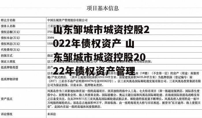 山东邹城市城资控股2022年债权资产 山东邹城市城资控股2022年债权资产管理