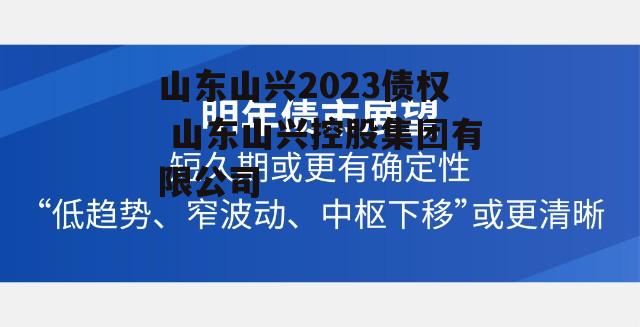 山东山兴2023债权 山东山兴控股集团有限公司