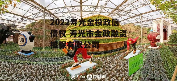 2022寿光金投政信债权 寿光市金政融资担保有限公司