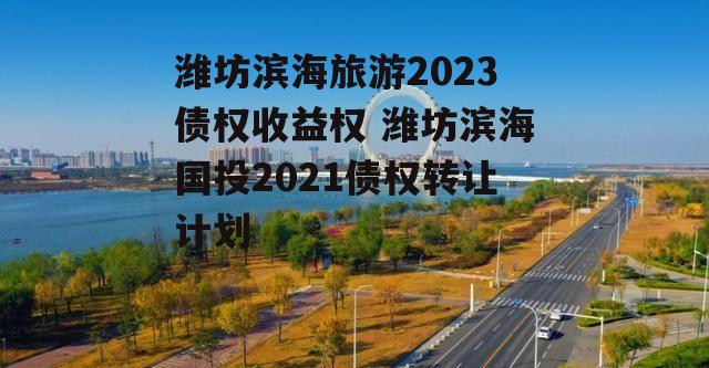 潍坊滨海旅游2023债权收益权 潍坊滨海国投2021债权转让计划