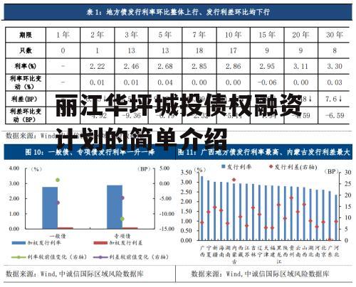 丽江华坪城投债权融资计划的简单介绍