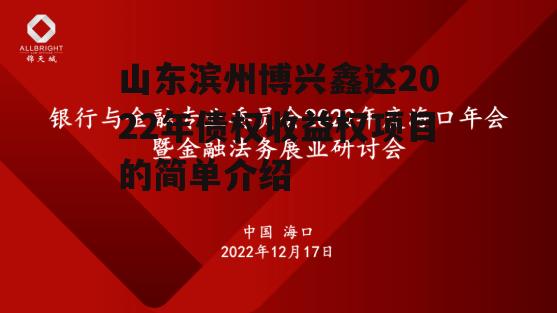 山东滨州博兴鑫达2022年债权收益权项目的简单介绍