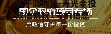 关于政府债-寿光金投政信债权1号的信息