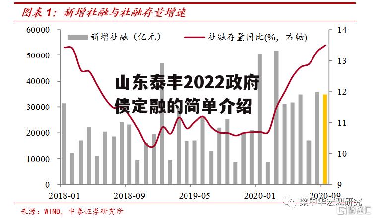 山东泰丰2022政府债定融的简单介绍