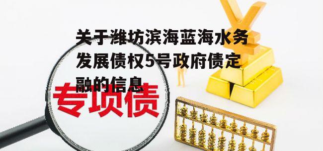 关于潍坊滨海蓝海水务发展债权5号政府债定融的信息