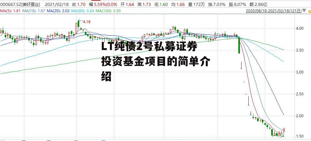 LT纯债2号私募证券投资基金项目的简单介绍