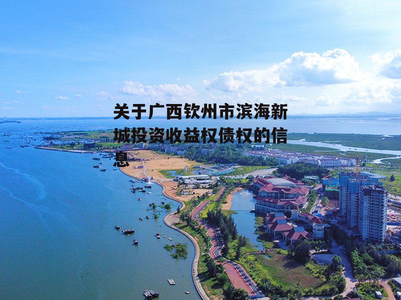 关于广西钦州市滨海新城投资收益权债权的信息