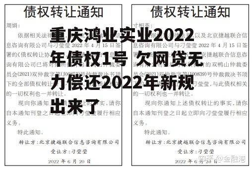 重庆鸿业实业2022年债权1号 欠网贷无力偿还2022年新规出来了