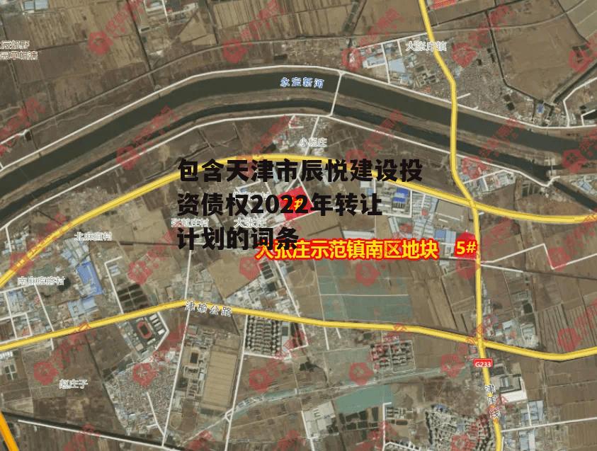 包含天津市辰悦建设投资债权2022年转让计划的词条