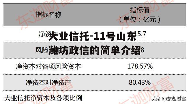 大业信托-11号山东潍坊政信的简单介绍