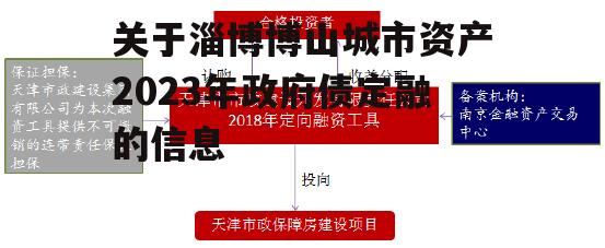 关于淄博博山城市资产2023年政府债定融的信息