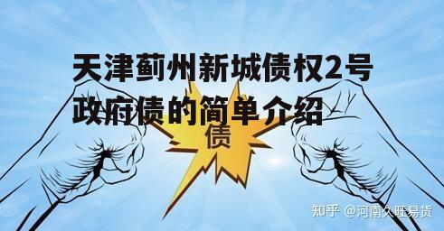 天津蓟州新城债权2号政府债的简单介绍