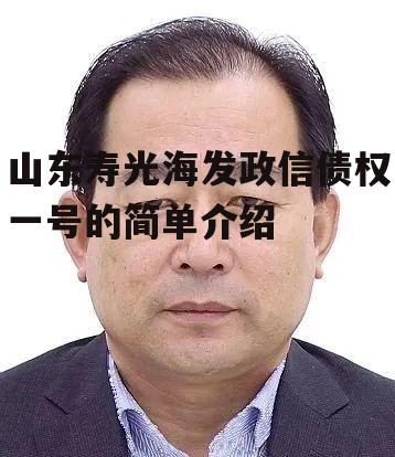 山东寿光海发政信债权一号的简单介绍