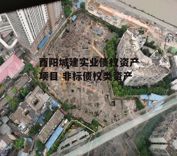 酉阳城建实业债权资产项目 非标债权类资产