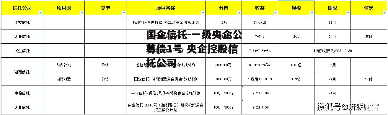 国企信托-一级央企公募债1号 央企控股信托公司