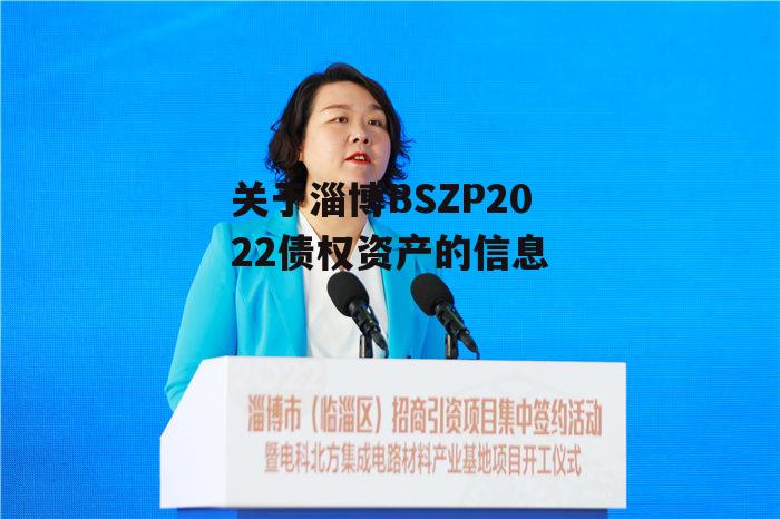 关于淄博BSZP2022债权资产的信息