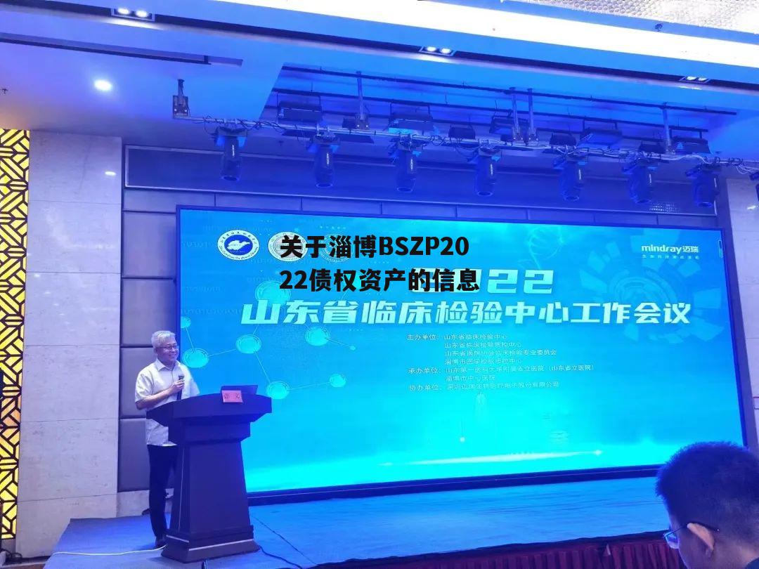 关于淄博BSZP2022债权资产的信息