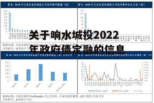 关于响水城投2022年政府债定融的信息