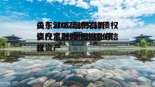 关于2022淄博高青债权系列政信定融的信息