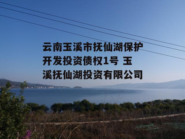 云南玉溪市抚仙湖保护开发投资债权1号 玉溪抚仙湖投资有限公司